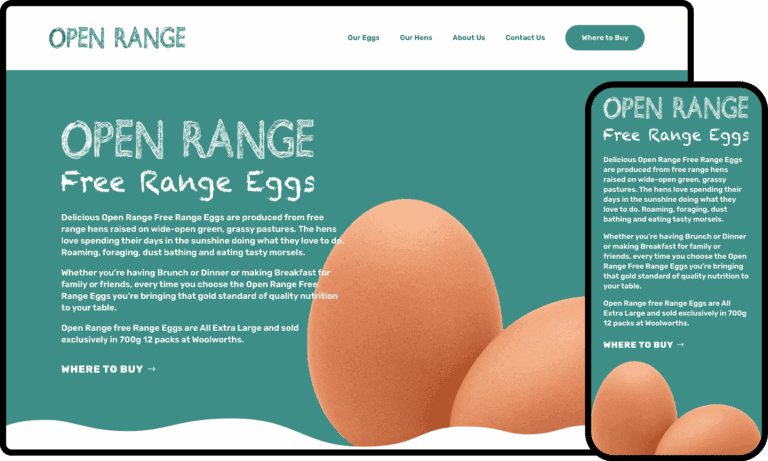 Business Website Design for Open Range