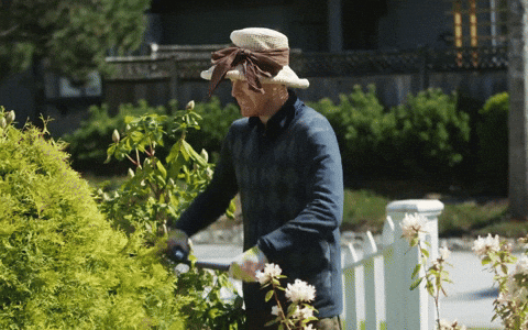 Gardening and Landscaping Business Ideas