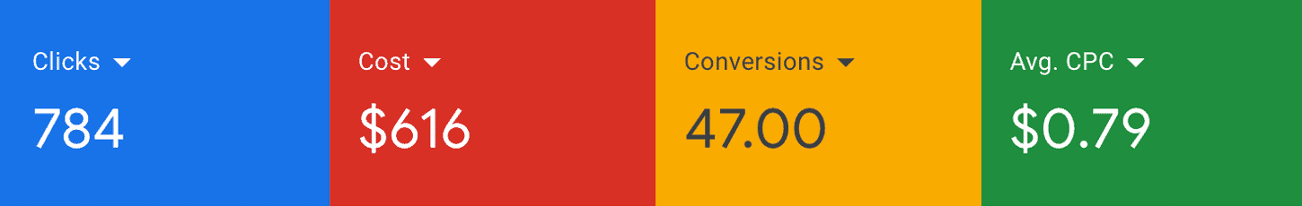 Google Ads Campaign Results