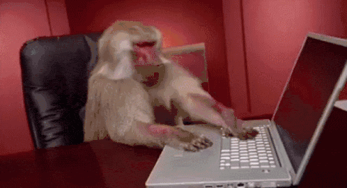 A person working on a DIY laptop setup, representing self-service website builders