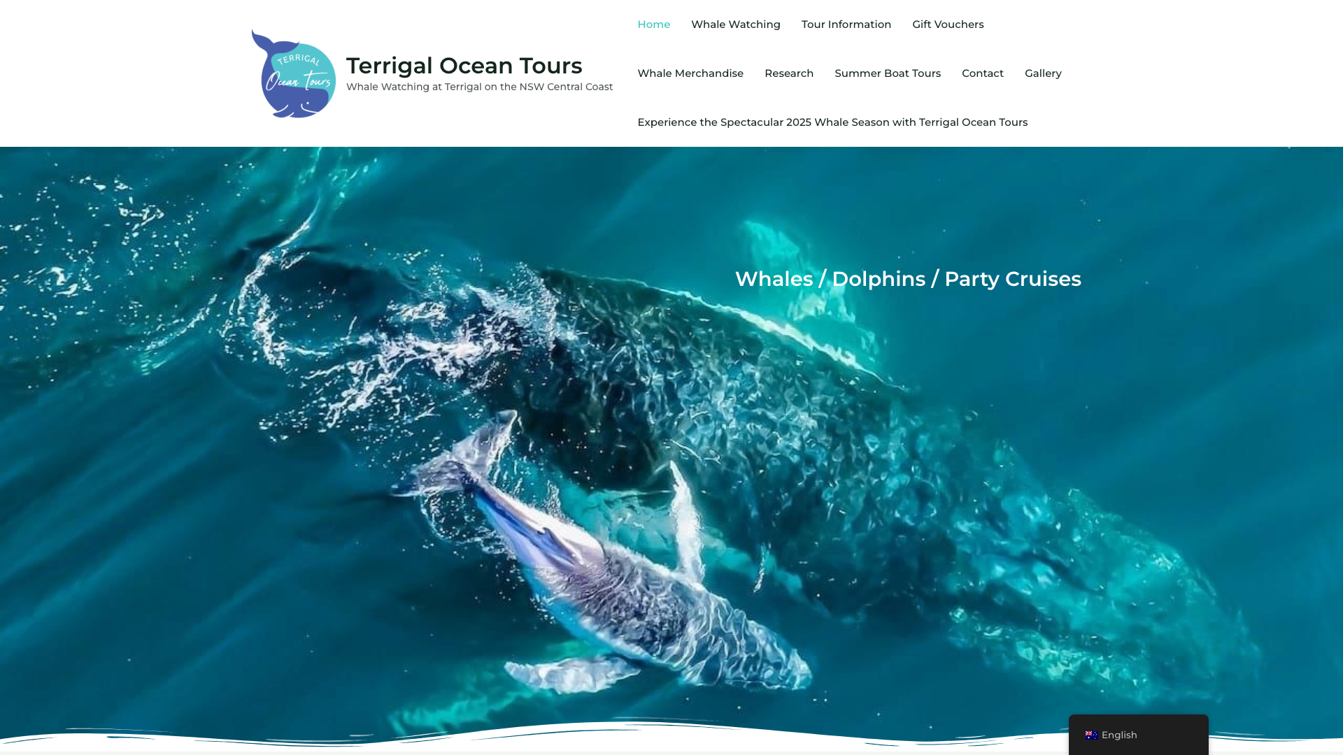 Terrigal Ocean Tours website homepage