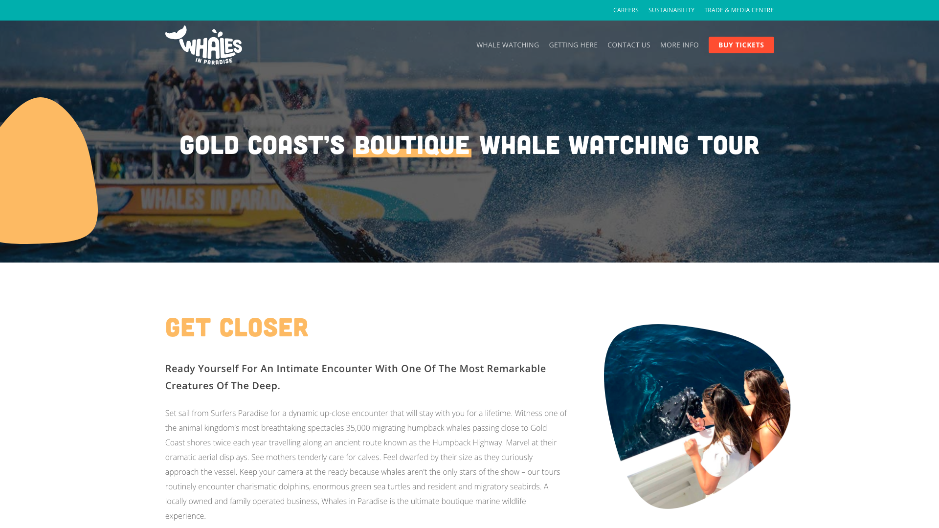 Whales in Paradise website homepage