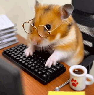 Typing fast on a keyboard while auditing websites