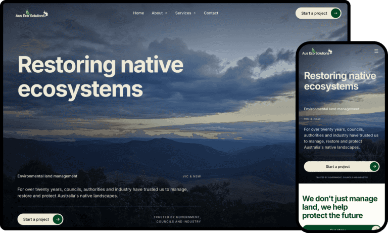 Business Website Design for Aus Eco Solutions